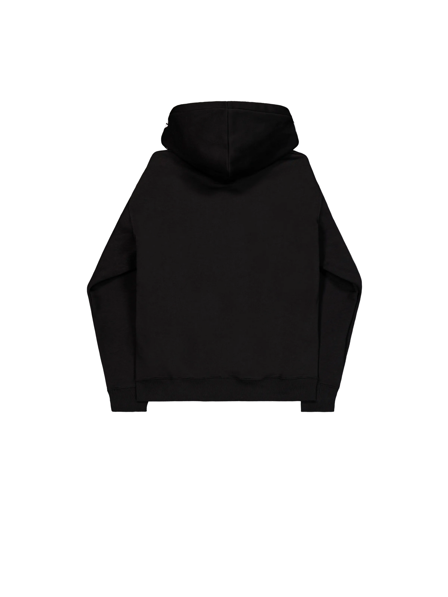 Alpha Hoodie von Alpha Industries – Rückansicht Regular Fit