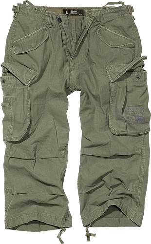 Brandit Shorts Cargo Hosen olive Military Armee