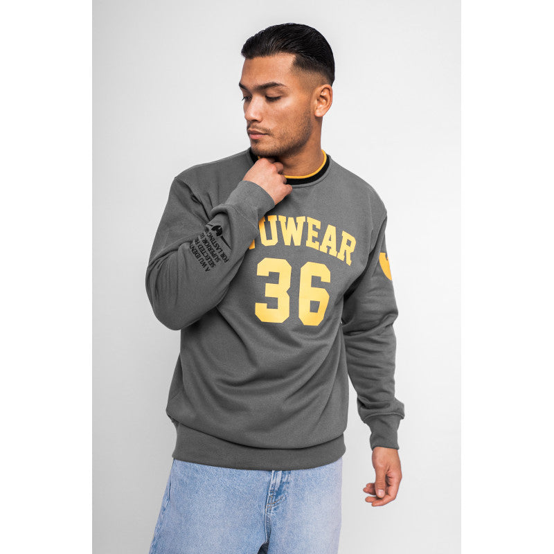 Wu Wear Wu 36 Block Hoodie Grau Wu-Tang Clan