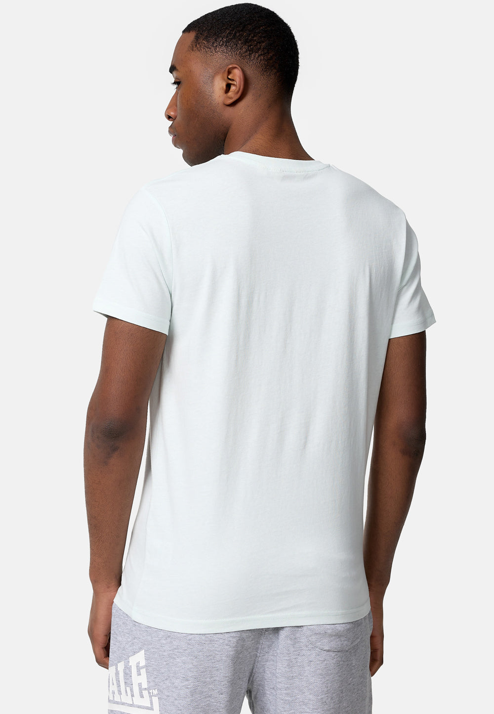 Rückseite des powder mint Lonsdale St. Erney Baumwoll-Shirts mit Rundhalsausschnitt und klassischem, glattem Schnitt.