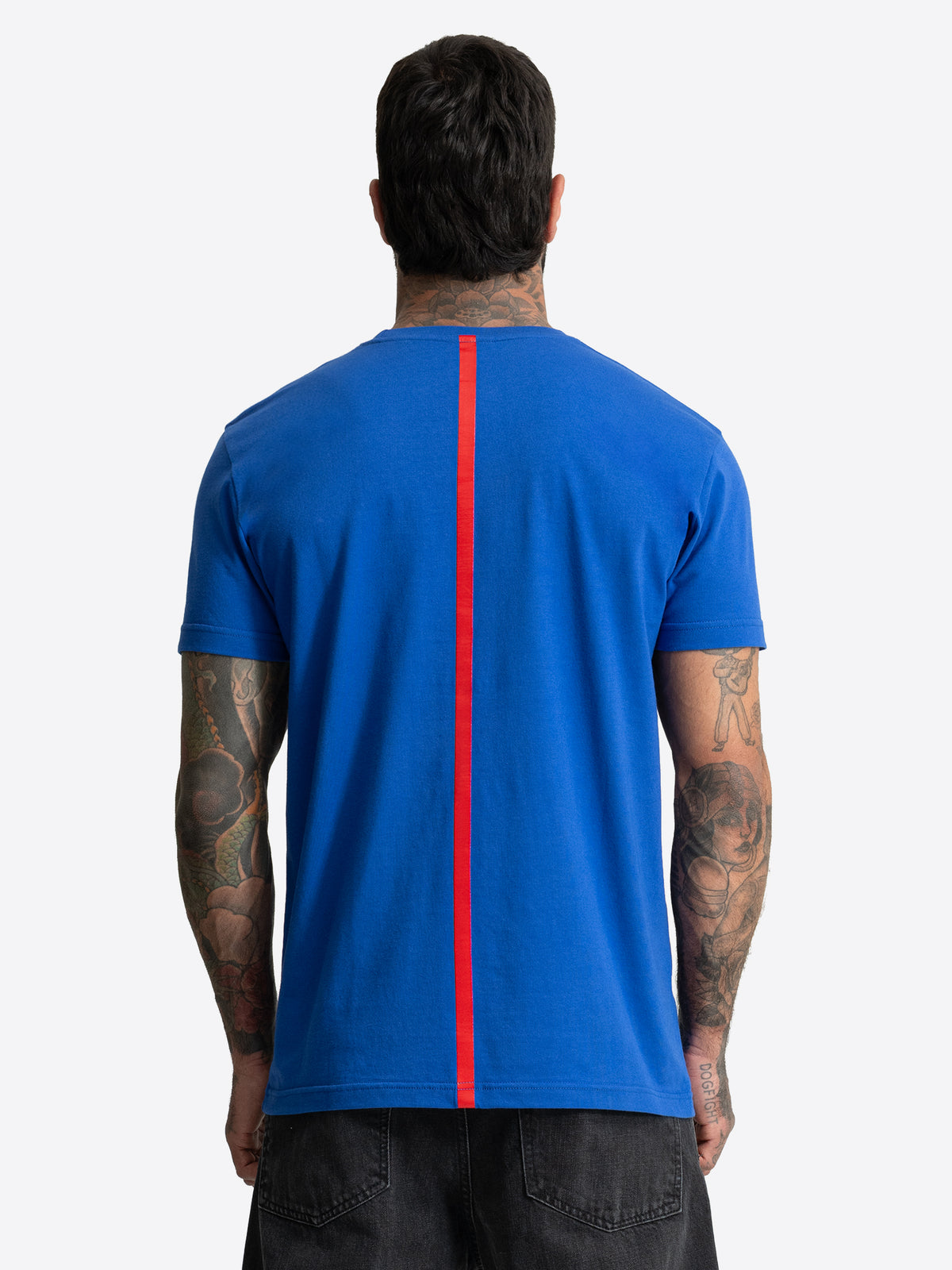BENLEE Herren T-Shirt Blau normale Passform Rueckenansicht.
