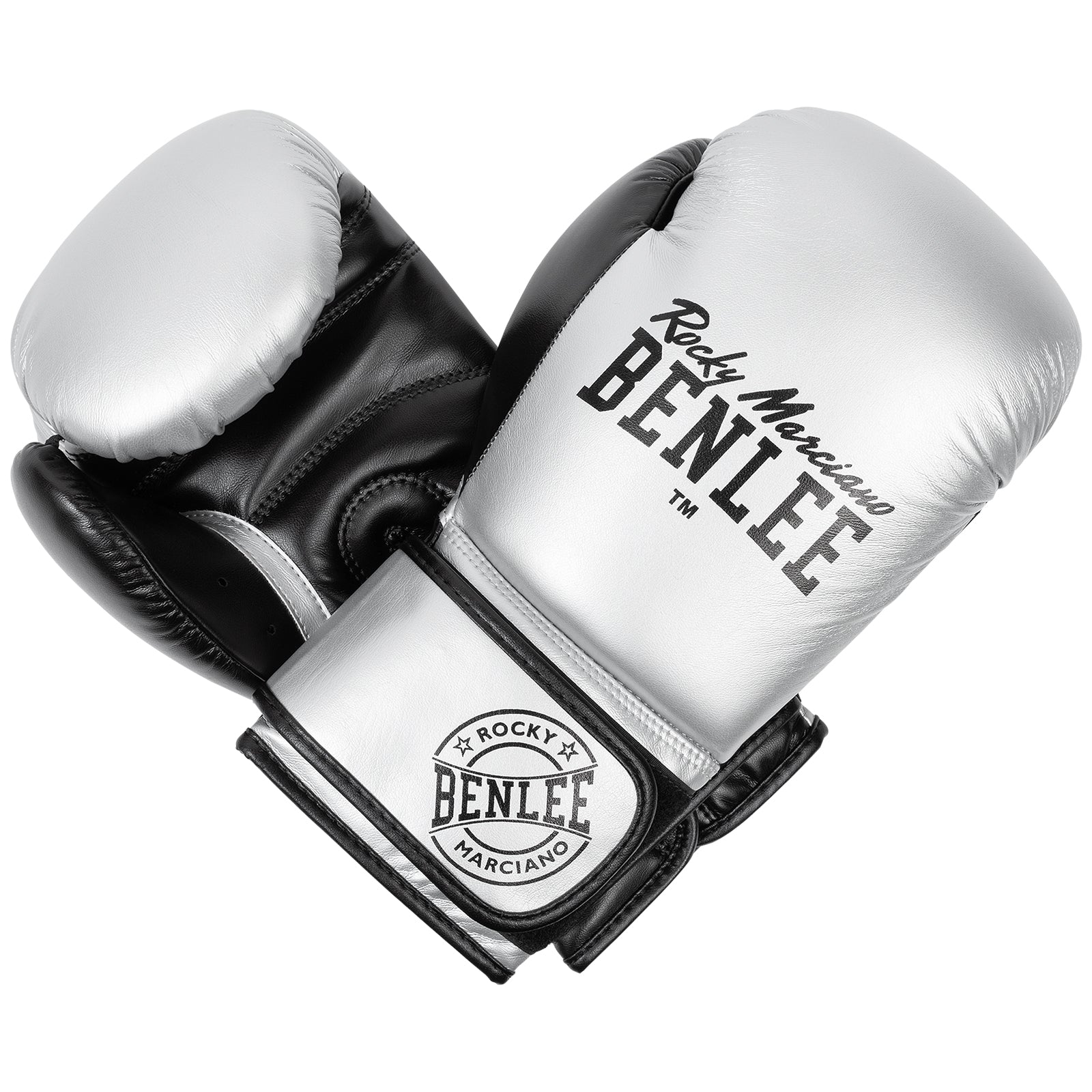BBENLEE  199155 Carlos Boxhandschuhe  -  Silver/Schwarz