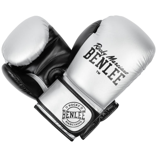 BBENLEE  199155 Carlos Boxhandschuhe  -  Silver/Schwarz
